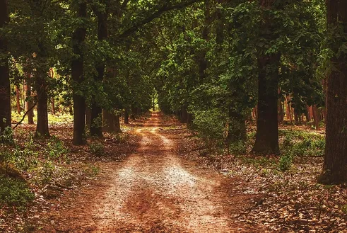Path through the Colors