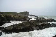 Rocks and Sea Weed