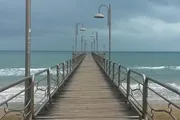 Forest Boardwalk