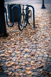 Bike locked in the leaves