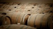 Rows of wine barrels