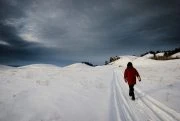 Walking a winter trail