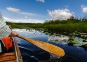Canoeing in the Endako channel