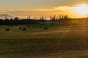 Farming on the Nechako Plateau