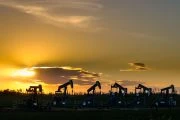 Pump jacks in a fileds at sunset.