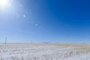 Winter prairie field under a sunny blue sky