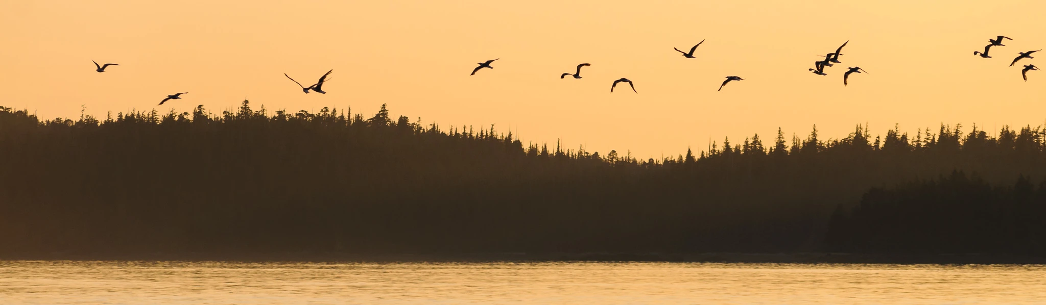 Place and Pipelines Video on Northern Gateway Pipeline Released