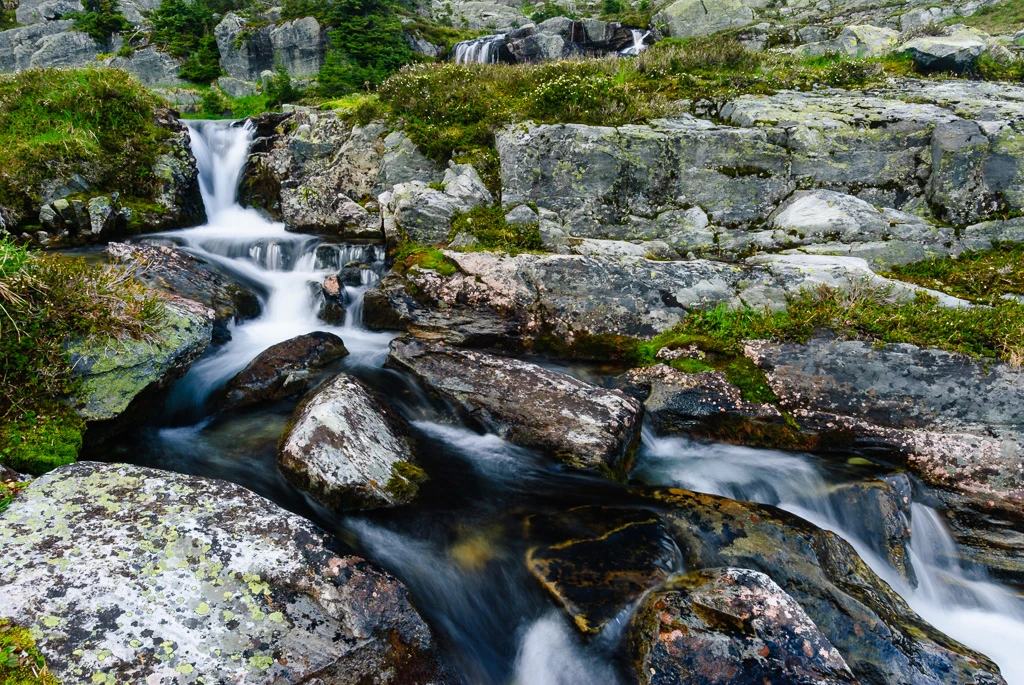Essay – Should environmental protection policies and regulations be relaxed during a recession?